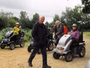 2017 A High Corner in the New Forest