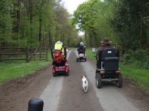 2017 Angmering Bluebell Ramble RR