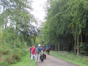 2017 Angmering Park Estate