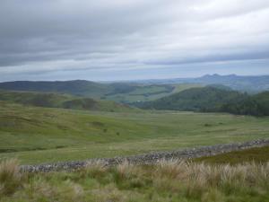 2017 Bowhill