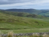 DSC_0111[1]