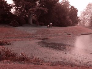 2017 Croome Estate