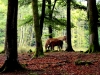 IMG_1360 - Edited (1)