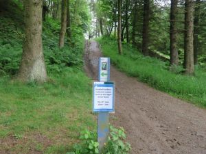 2017 Glentress Forest