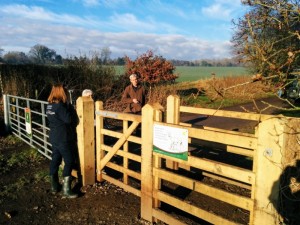 2017 Kingley Vale Nature Reserve RR