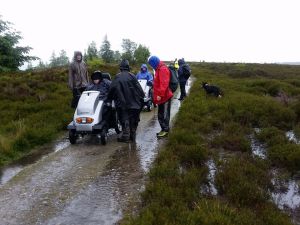 2017 Rievaulx Moor