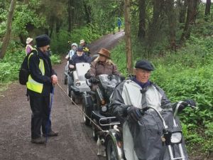 2017 Shipley Country Park