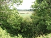 DSCF1421