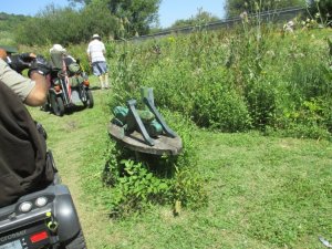 2018 Arundel River, Lake and Wetlands Regional Ramble