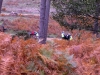 IMG_3488 - Edited (1)