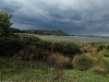 DSCF2085