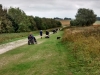 IMG_20180822_164049