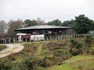 2018 Deerleap to Beaulieu Rd Pony Sales Regional Ramble