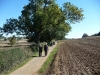 Market Bosworth 2