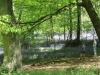 Copy of IMG_0004