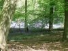 Copy of IMG_0005