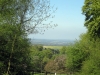 IMG_2110