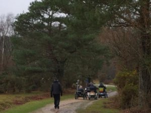 2019 Hatchet Pond to East Boldre Regional Ramble