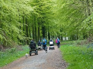 2019 Regional Angmering Bluebells