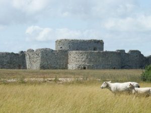 2019 Rye Harbour