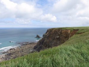 2019 Tehidy North Cliffs