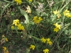 unnamed-3