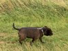 IMG_5488-Large