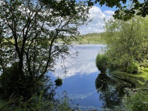 2021 Delamere Forest RR