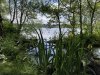 2021-06-29-RR-Delamere-5a.-Medium