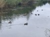 IMG_5874-Medium