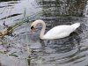 IMG_5878-Medium