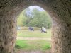 IMG_5902-Medium