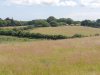 IMG_20210709_125957