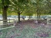Tatton-Park-Ramble-11-Medium