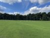 Tatton-Park-Ramble-17-Medium