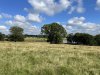 Tatton-Park-Ramble-6-Medium