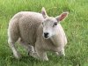 IMG_7124-Small
