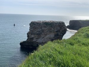 2022 Souter Lighthouse & the Leas