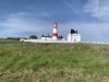 IMG_6913-Small