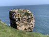 IMG_6914-Small