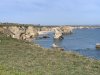 IMG_6919-Small