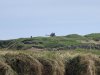 IMG_6924-Small