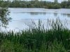 IMG_4120-002