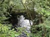 IMG_5006-Large