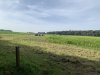 IMG_9414-Large