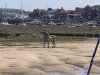 IMG_9319-Large