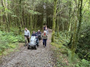 2024 Beddgelert Forest