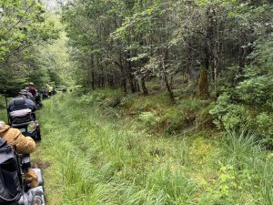 2024 Coed Y Brenin Waterfalls