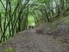20240716_104921816_iOS-Large