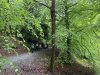20240514_101251615_iOS-Large